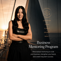 Business Mentoring Program